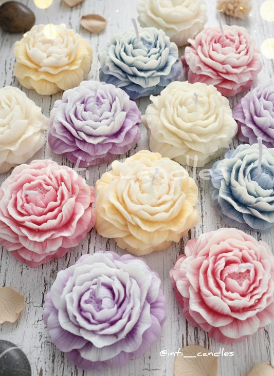 Peonies
