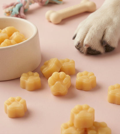Fresh Oranges Paw Prints