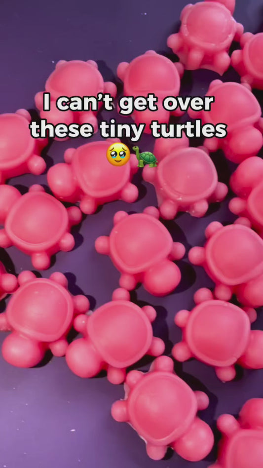 Turtles Lavender & Lemongrass
