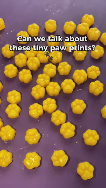 Fresh Oranges Paw Prints